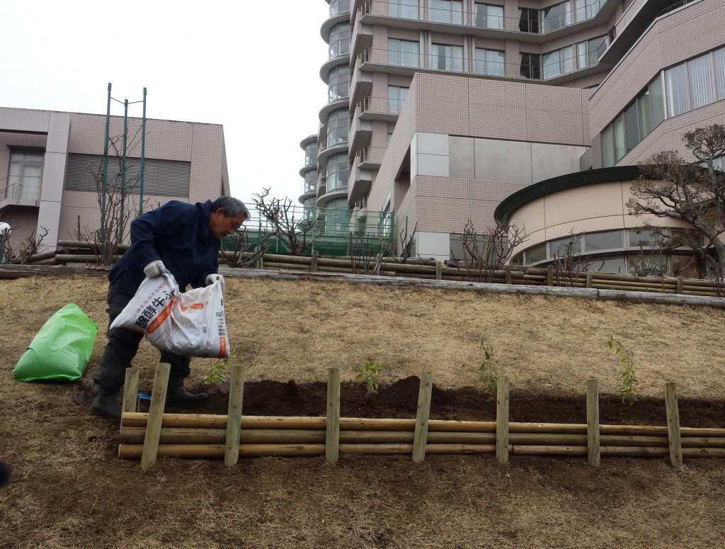 寄付によるバラ園の整備の様子