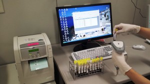 匿名化作業の様子