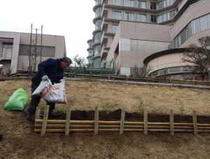 バラ園整備
