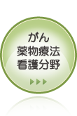 がん薬物療法看護分野