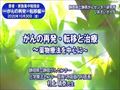 youtube038