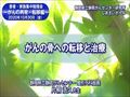 youtube038