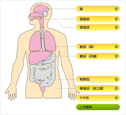 症例と適応条件を部位から探す